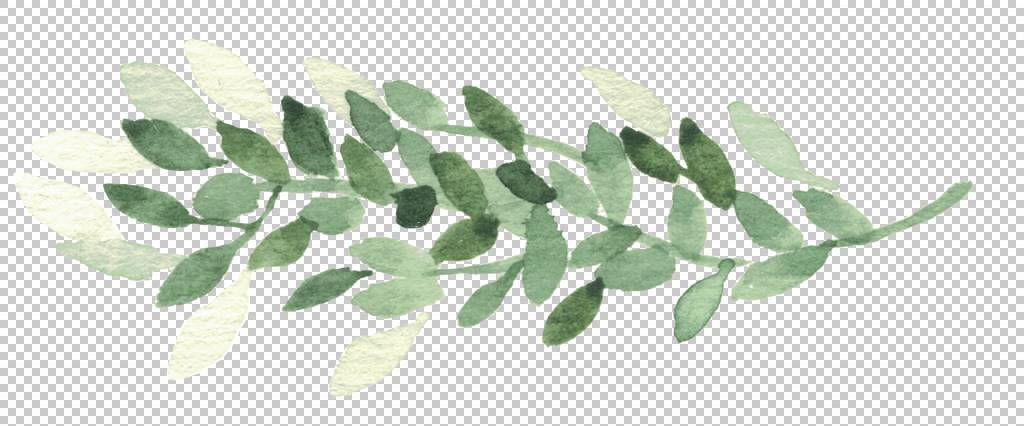 绿色植物免抠素材下载 图片id 装饰元素 免抠素材 淘图网taopic Com