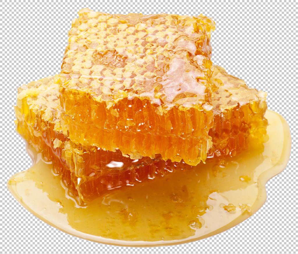 Honeycomb Bee Delicatessen,ѷ,PNGͼƬ