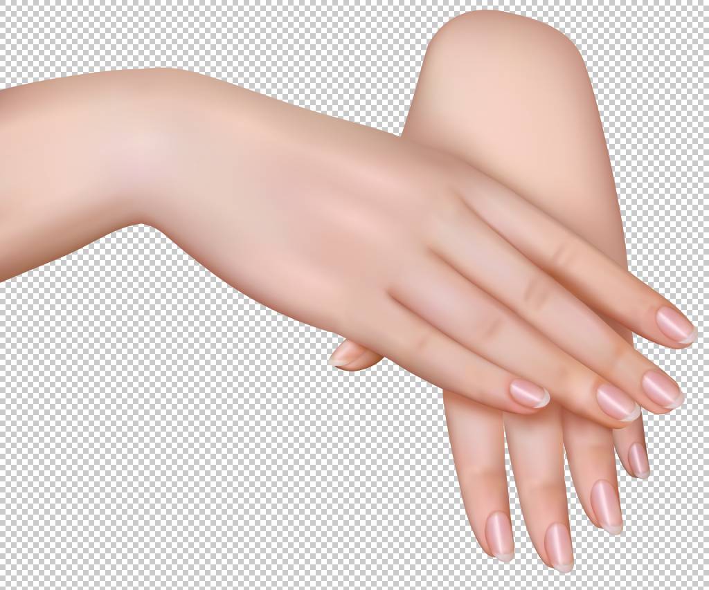 手 女性手 左右人类手png剪贴画手臂 女人 手模型 指甲护理 手指 免抠素材下载 图片id 其它元素 Png素材 素材宝scbao Com