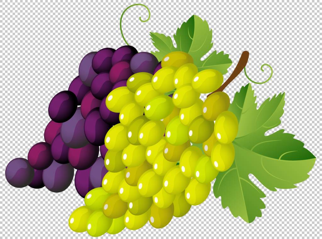 Grapevines stock.xchng,ʻ,PNGȻʳƷ,ʳƷͼƬ